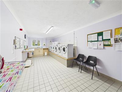 Picture 13